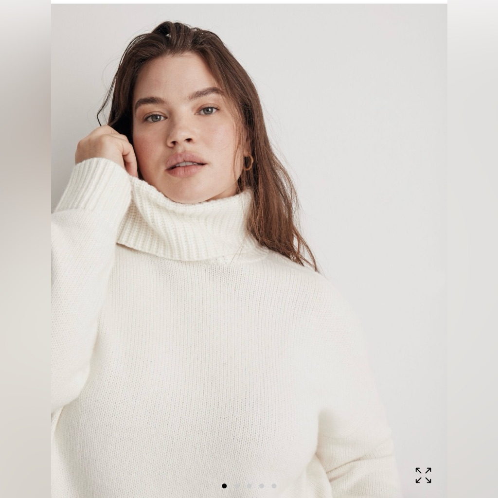 Madewell Plus Sadler Turtleneck Sweater